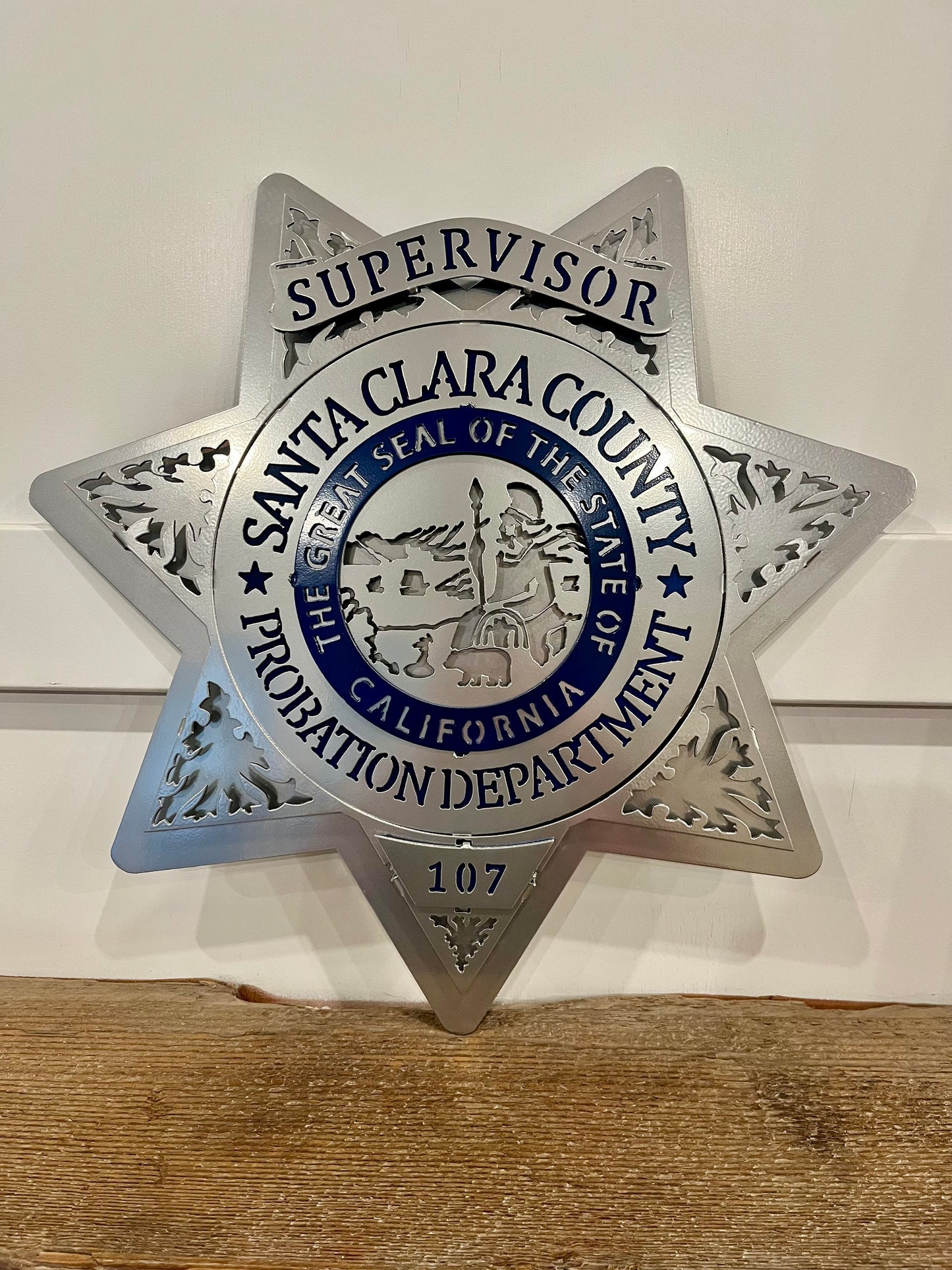 Santa Clara County Probation