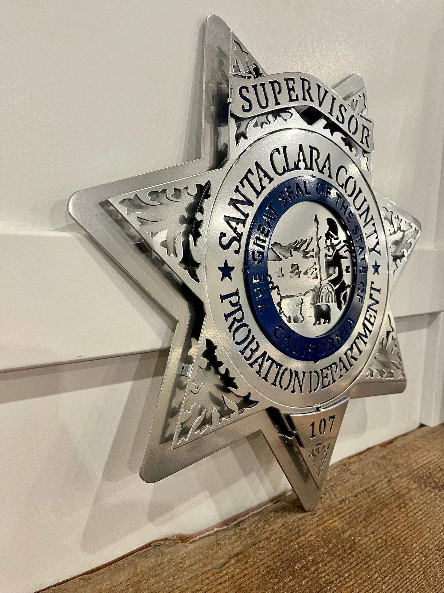 Santa Clara County Probation