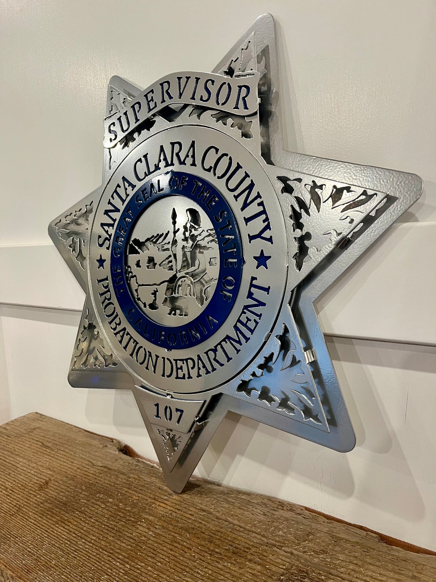 Santa Clara County Probation