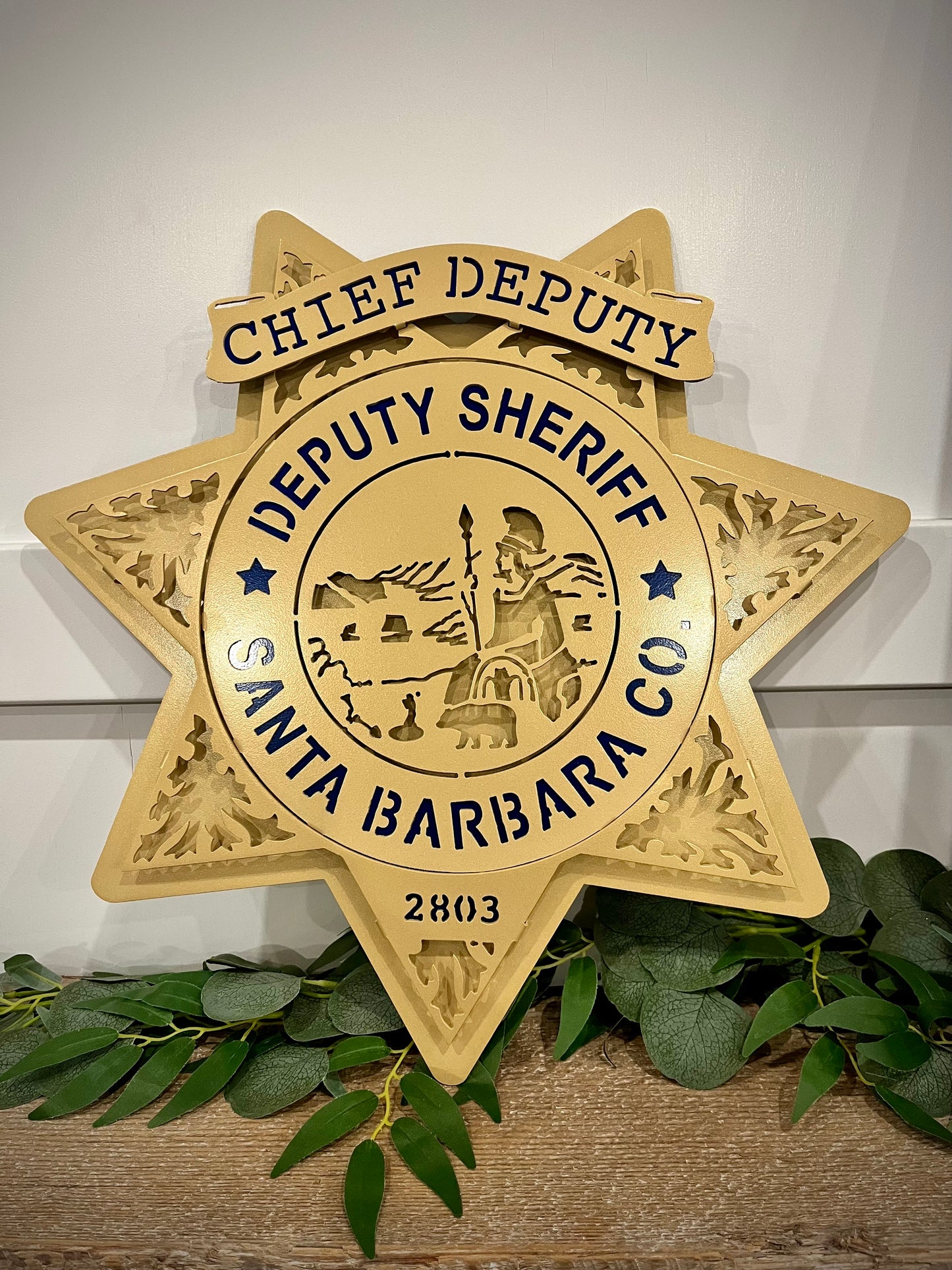 SBSO Star