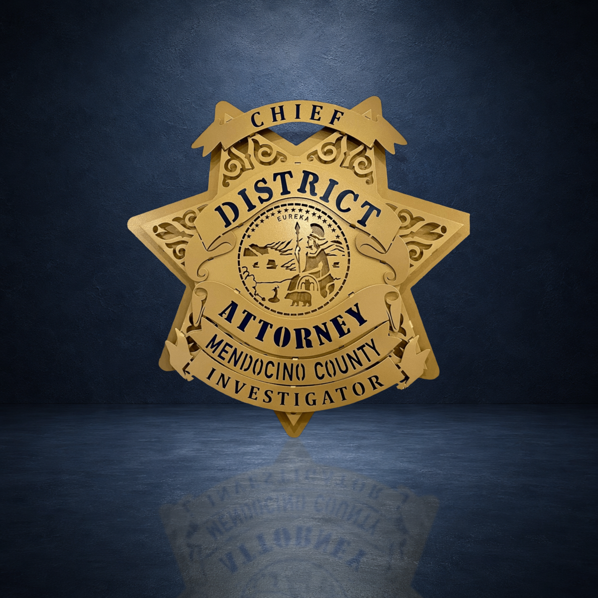 Mendocino County DA Investigator Star