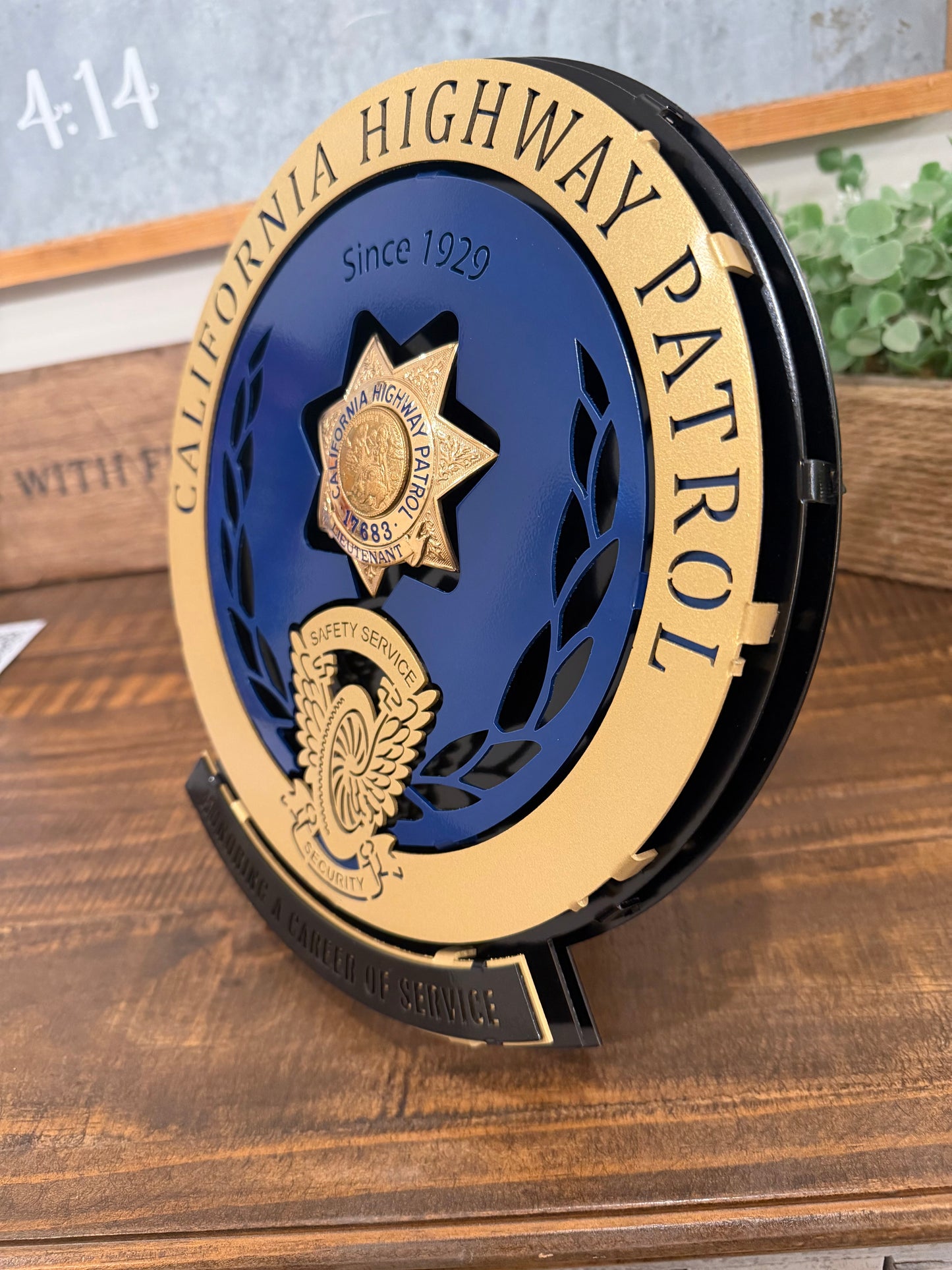 Badge Display (Any Agency)