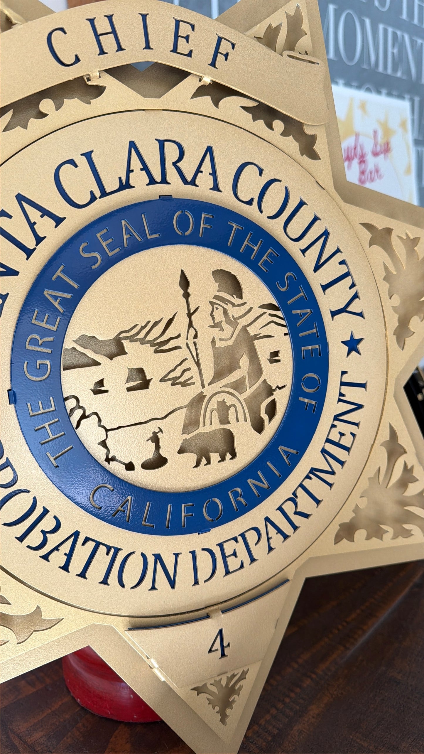 Santa Clara County Probation