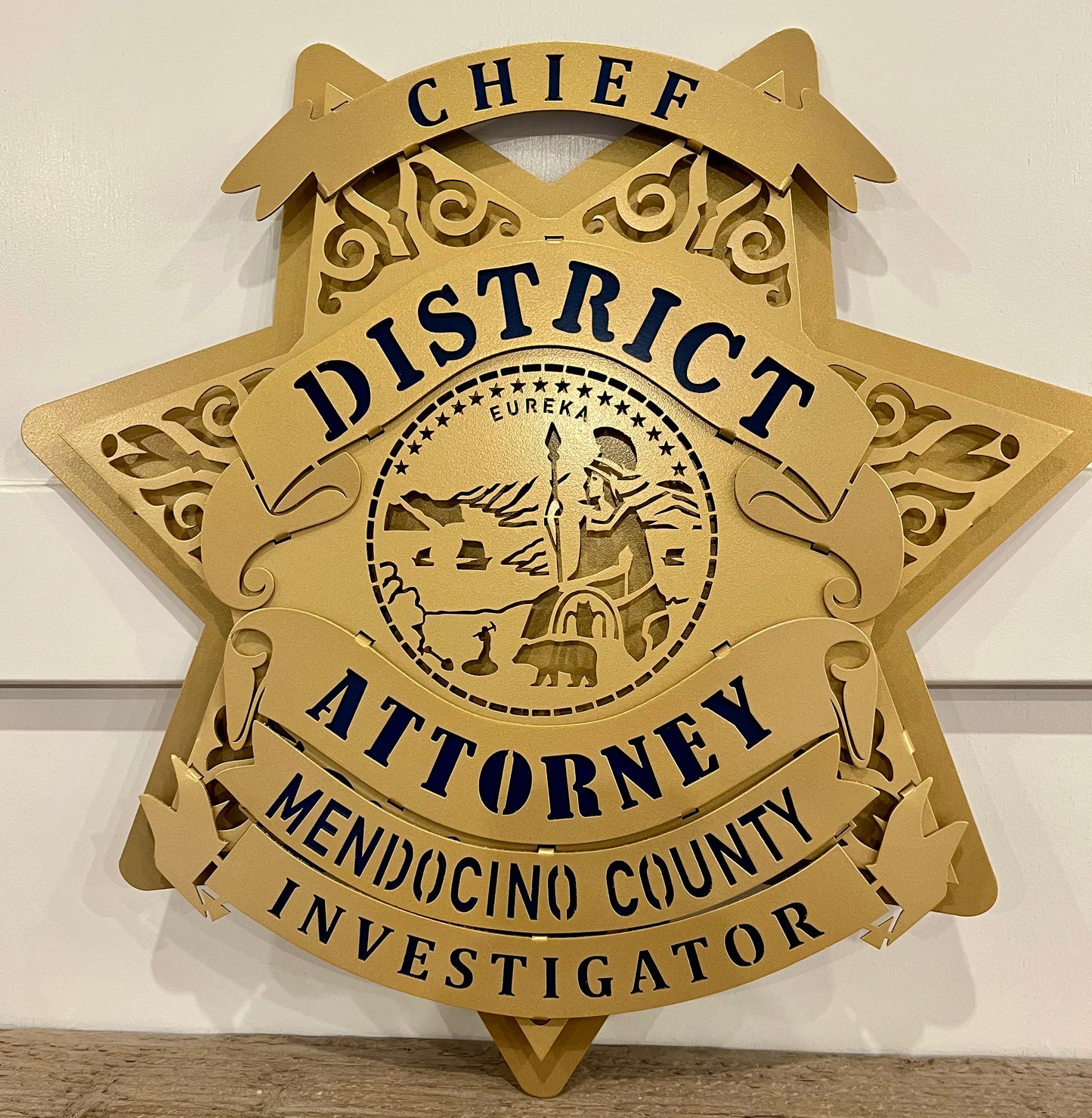 Mendocino County DA Investigator Star